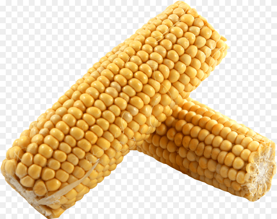 Dent Corn, Food, Grain, Plant, Produce Png Image