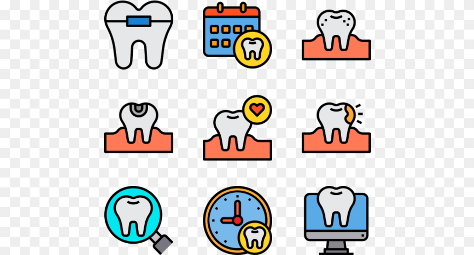 Dental, Animal, Bear, Mammal, Wildlife Png