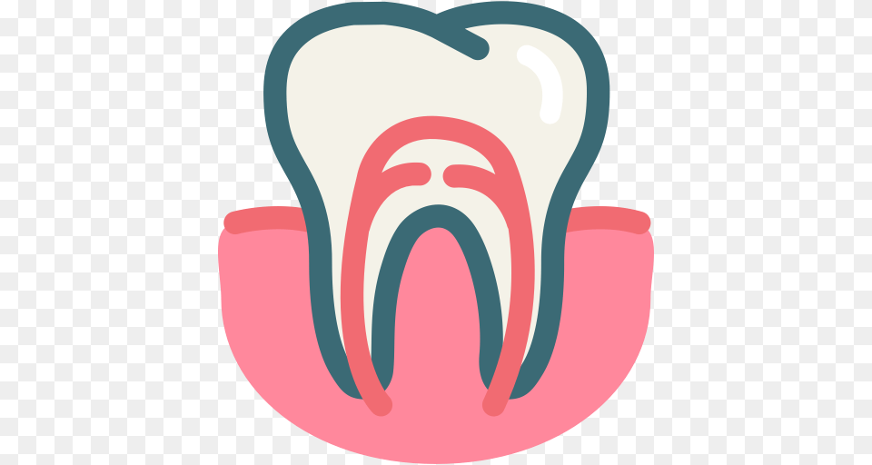 Dental Dental Treatment Dentist Gum Gums Tooth Root Canal, Body Part, Mouth, Person, Tongue Free Png