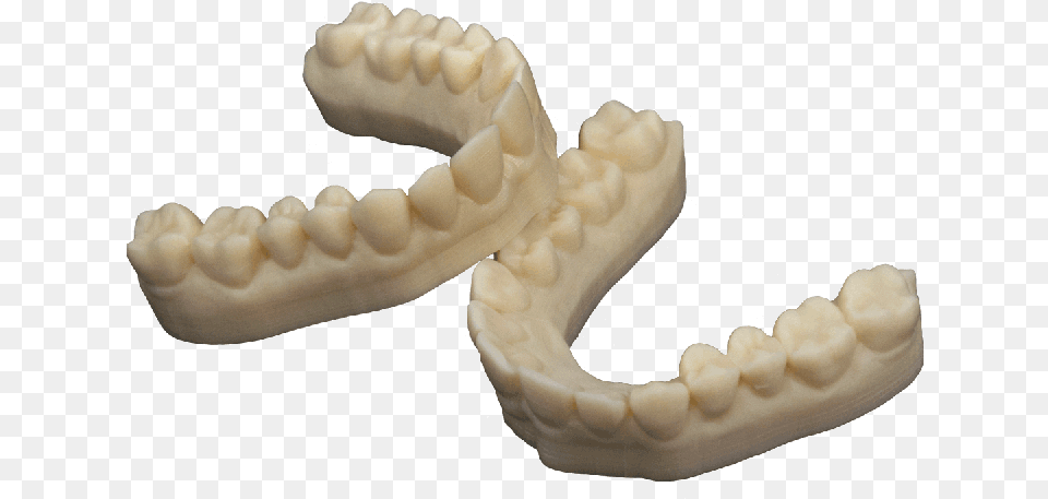 Dental Model By 3d Printing For Dental Crowns Amp Bridges 3d Printed Dental Model, Body Part, Face, Head, Mouth Free Transparent Png