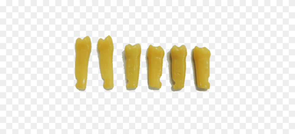 Dente 2 Molar N Tooth, Butter, Food Free Png