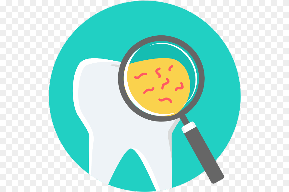 Dentist Tooth Circle, Magnifying, Face, Head, Person Free Png Download
