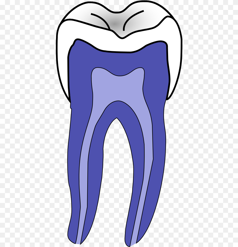 Dentistry, Cushion, Home Decor, Adult, Female Free Transparent Png