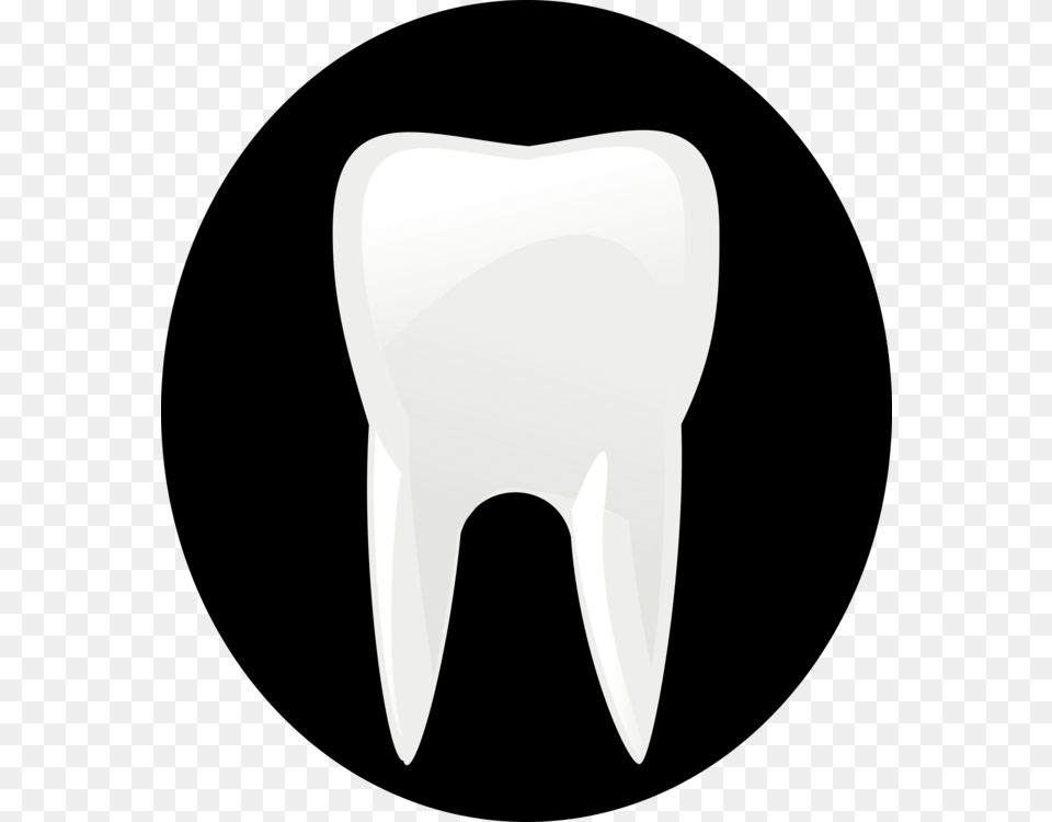 Dentistry Human Tooth Dental Hygienist, Cushion, Home Decor, Logo, Blade Png