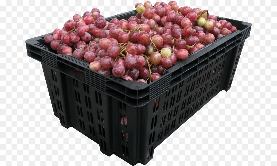 Dentro Del Catlogo De Productos Plsticos Para Transporte Cajas Para Transportar Uvas, Food, Fruit, Grapes, Plant Png