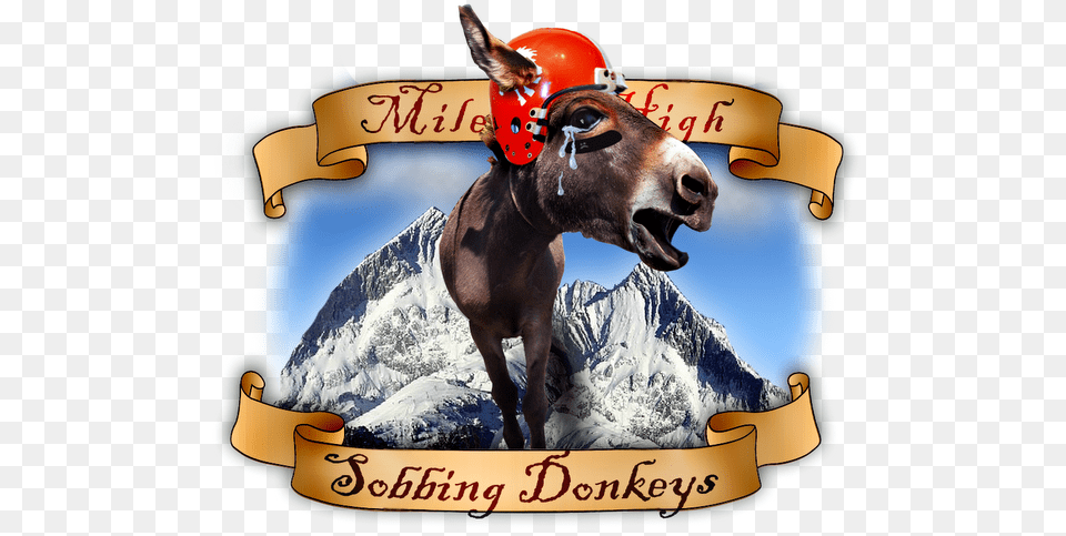 Denver Bronco Smack Thread Archive Longdog, Helmet, Animal, Donkey, Mammal Free Png Download