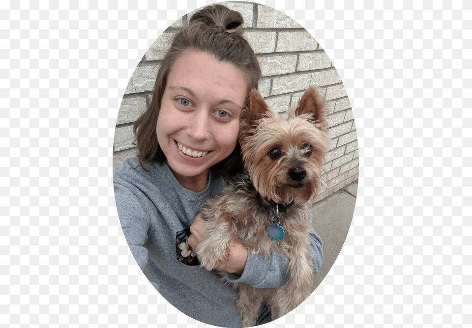 Denver Pro Pet Sitter Rachel W Yorkshire Terrier, Head, Portrait, Photography, Brick Png
