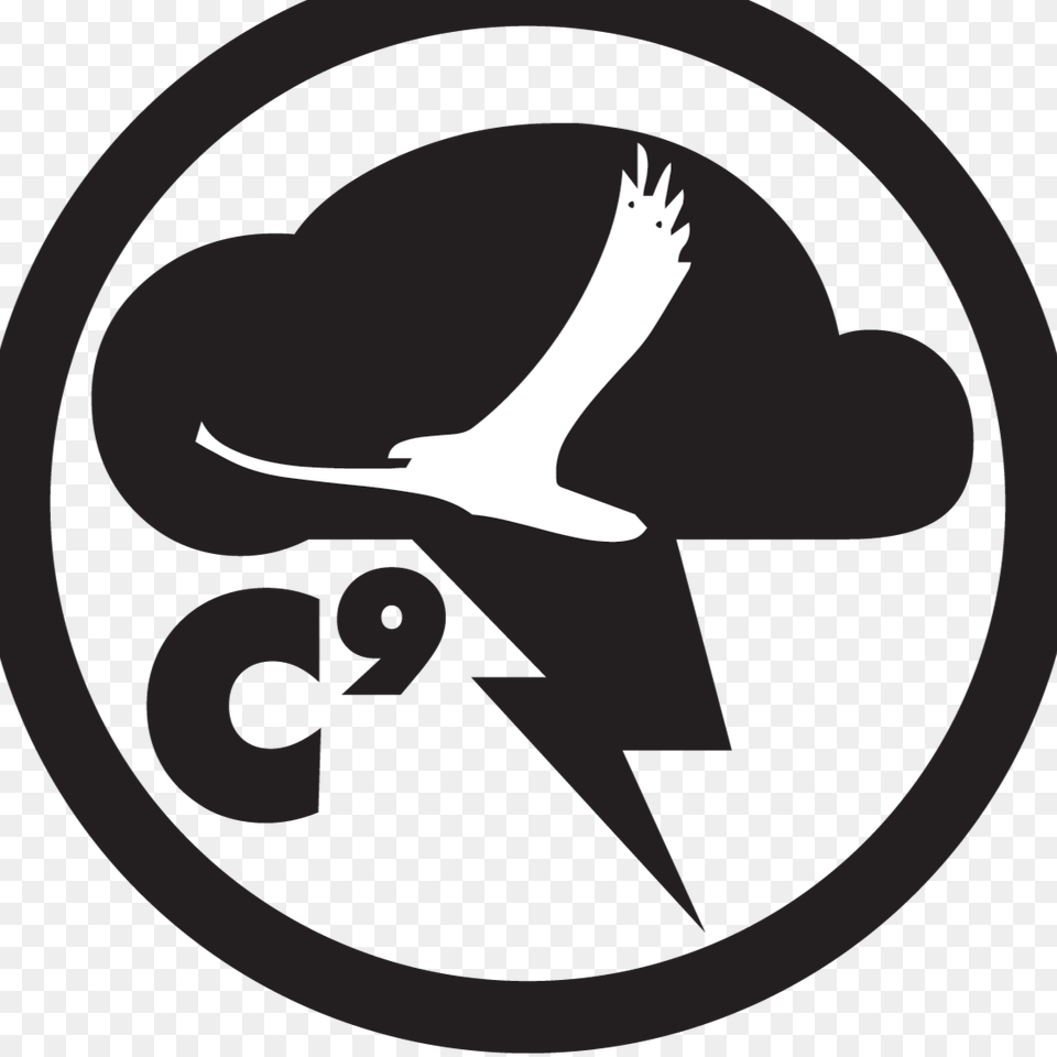 Denzel Curry Ult, Animal, Bird, Flying, Waterfowl Png