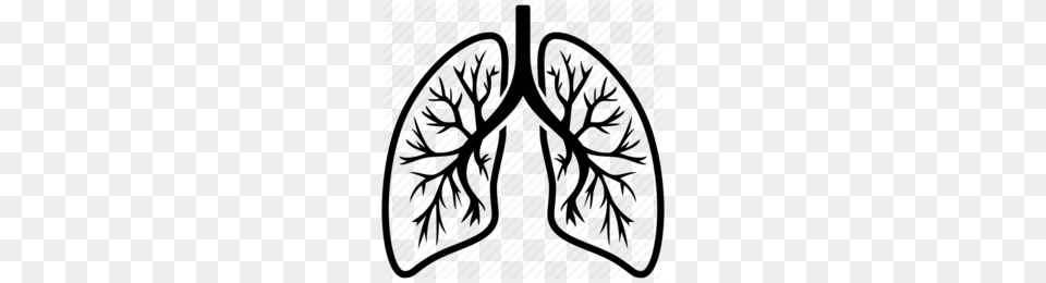 Deodorant Clipart, Pattern, Home Decor, Accessories Free Transparent Png