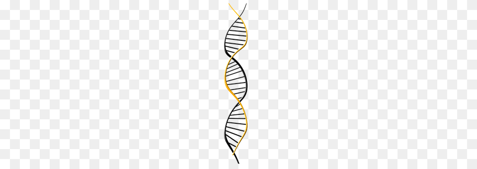 Deoxyribonucleic Acid Accessories, Spiral, Jewelry, Earring Png Image