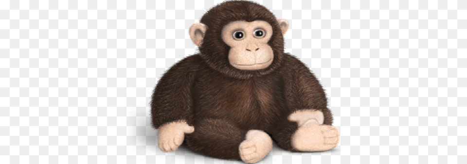 Department Of Human Services Will Be Fined Monkey Icon, Animal, Mammal, Wildlife, Bear Free Png Download