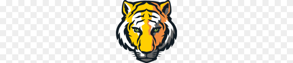 Depauw Tigers, Baby, Person, Animal, Mammal Free Png