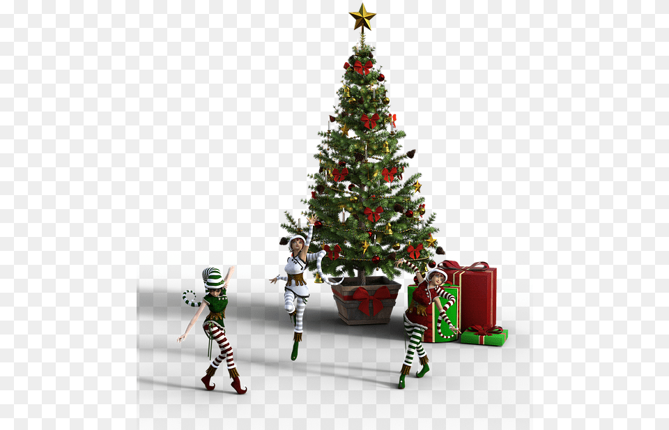 Der Weihnachtsbaum Christmas Ornament, Boy, Plant, Person, Male Free Png Download