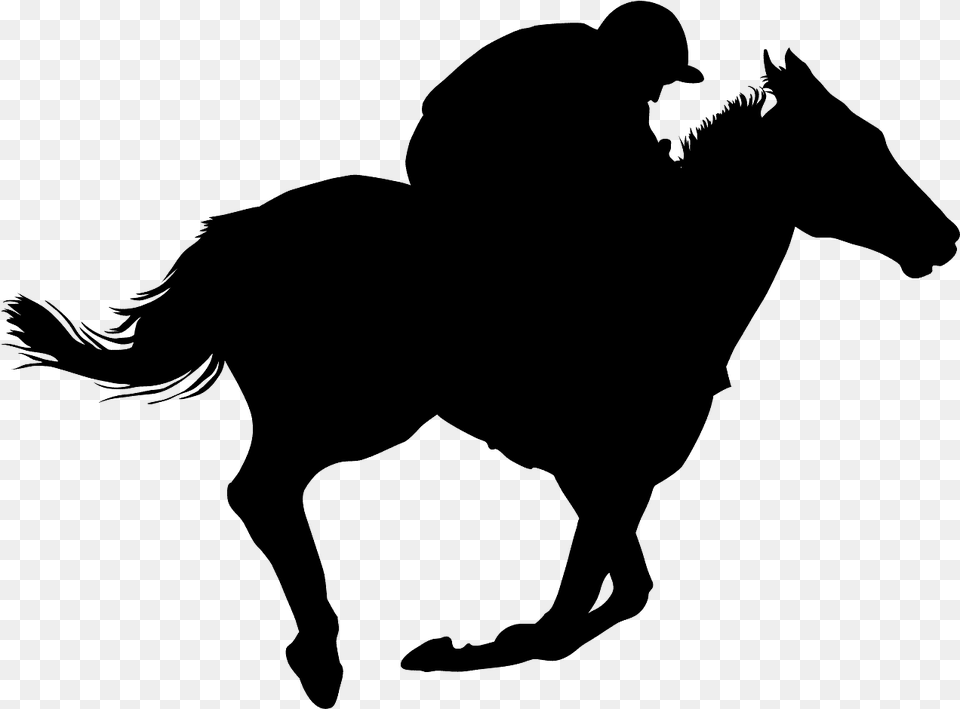 Derby Horse Silhouette, Gray Png