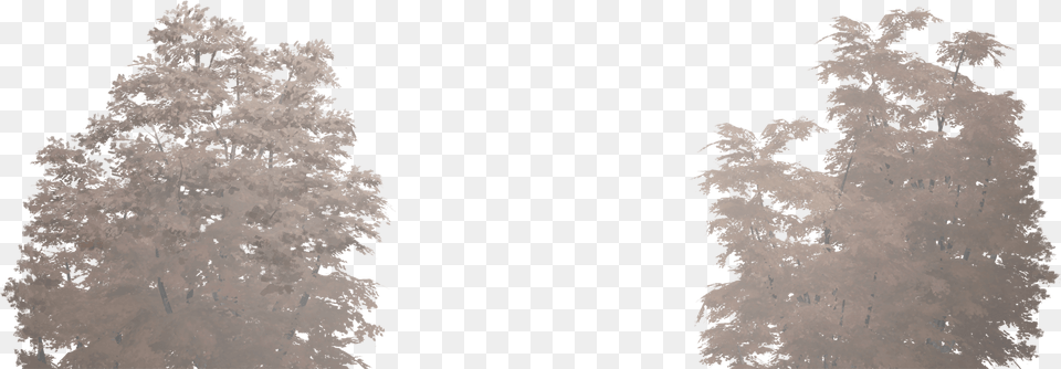 Derevya Larch, Weather, Tree, Plant, Nature Free Png