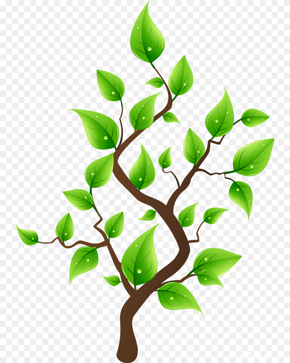 Derevya Na Prozrachnom Fone Rastrovij Klipart Arboles Con Hojas Dibujo, Green, Leaf, Plant, Vegetation Png Image