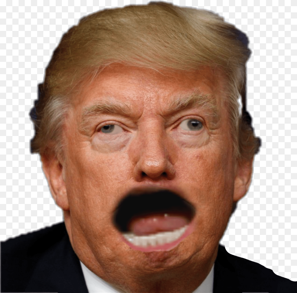 Derp Trump Download Donald Trump Angry Faces, Adult, Person, Man, Male Free Png