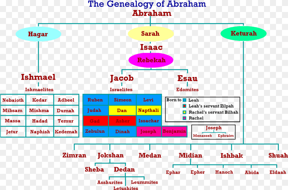 Descendants November 6 Coach4aday Abraham Bible Family Tree Png Image