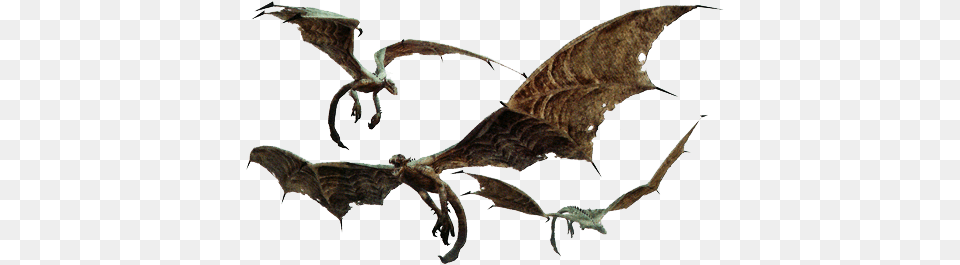 Description Gargoyles Flying, Animal, Bird Png