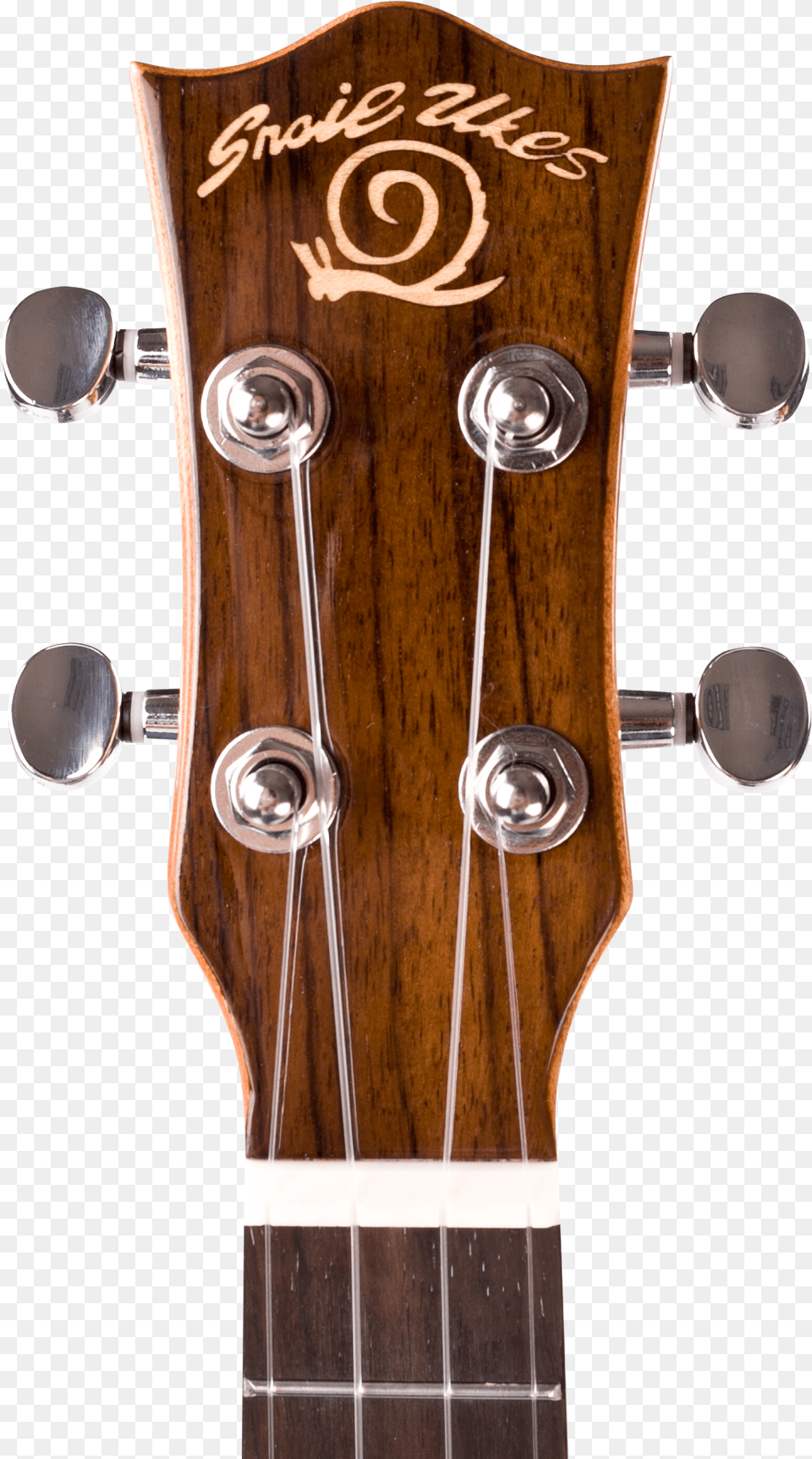 Descubre Ideas Sobre Ukelele Snail Sut M3 Tenor All Solid Mahogany Gloss Ukulele, Guitar, Musical Instrument Png Image