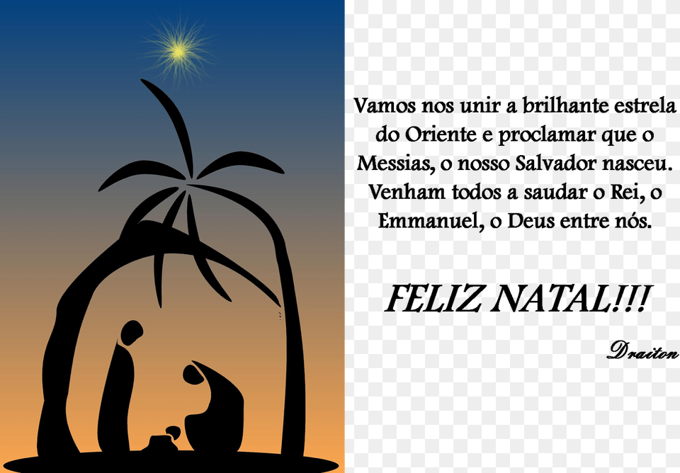 Desejo A Todos Um Feliz E Santo Natal, Tree, Plant, Palm Tree, Night Free Transparent Png