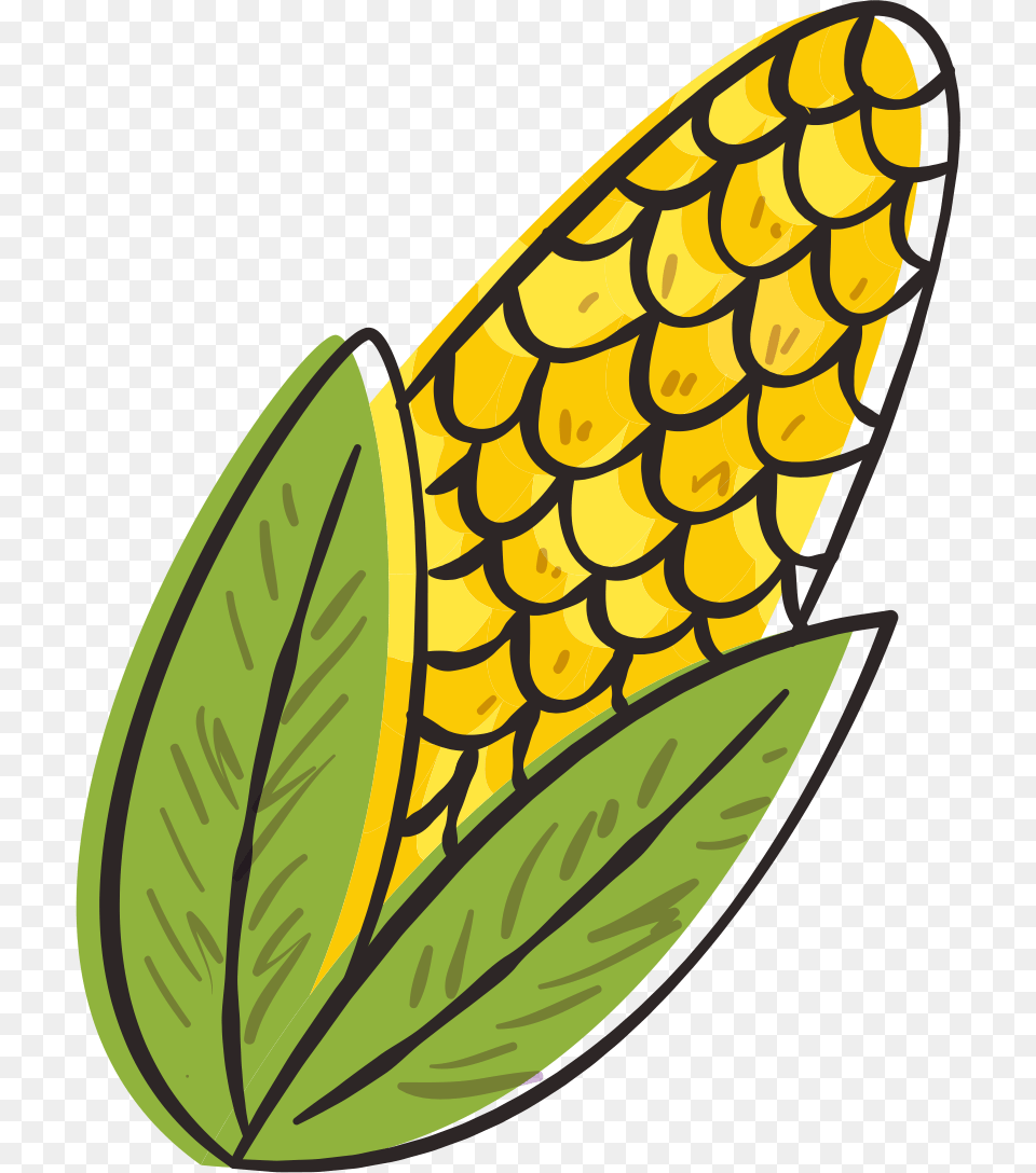 Desenho Chapeu Festa Junina, Corn, Food, Grain, Plant Free Png