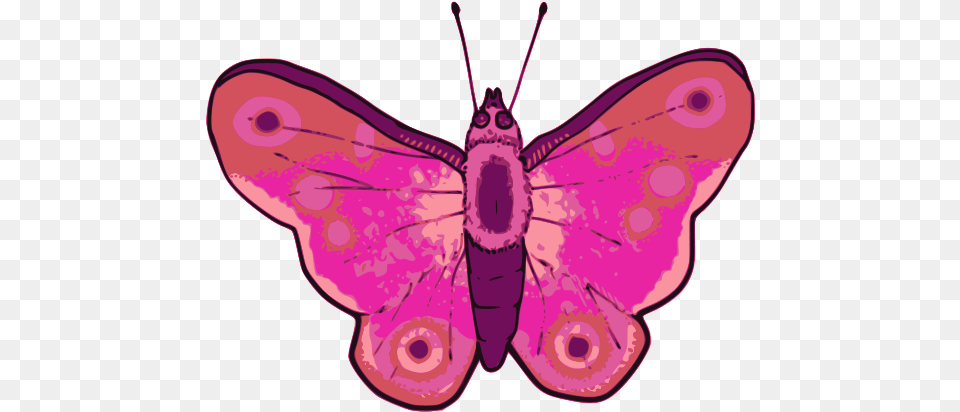 Desenho De Borboletas Rosa, Animal, Insect, Invertebrate, Butterfly Png