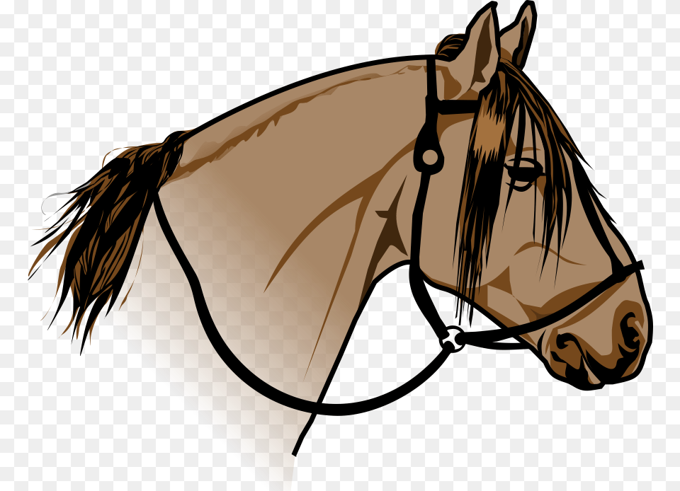 Desenho Disponvel Em Vetor Cavalo Crioulo, Animal, Horse, Mammal, Stallion Png