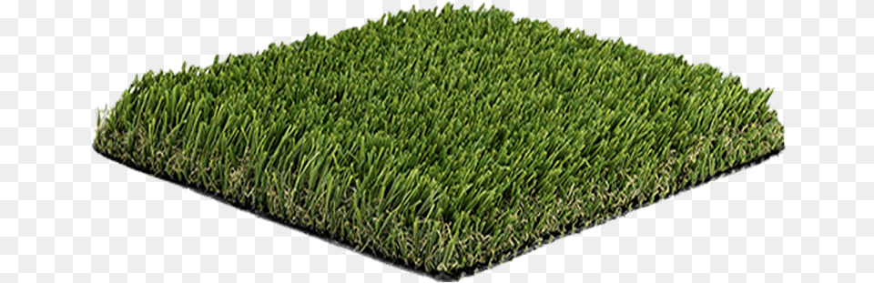 Desert Breeze Pro Sport Close Green Artificialsynthetic Lawn, Grass, Moss, Plant, Vegetation Png