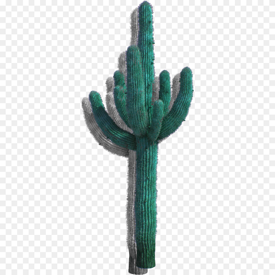 Desert Cactus, Plant Free Transparent Png
