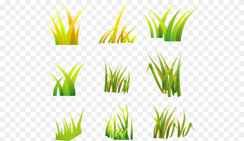 Desert Grass Vector, Art, Plant, Vegetation, Green Free Png Download