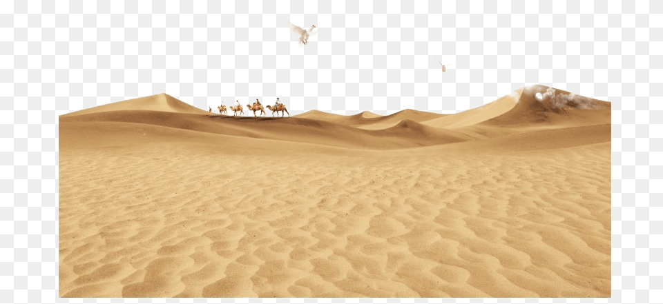 Desert High Quality Image, Nature, Outdoors, Animal, Bird Free Png
