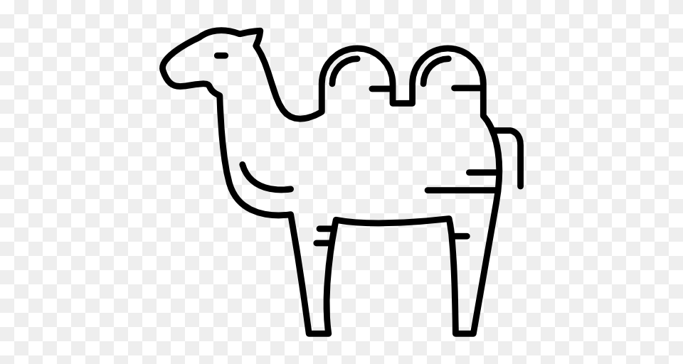 Desert Humps Animals Dromedary Mammal Arabian Icon, Gray Free Png Download