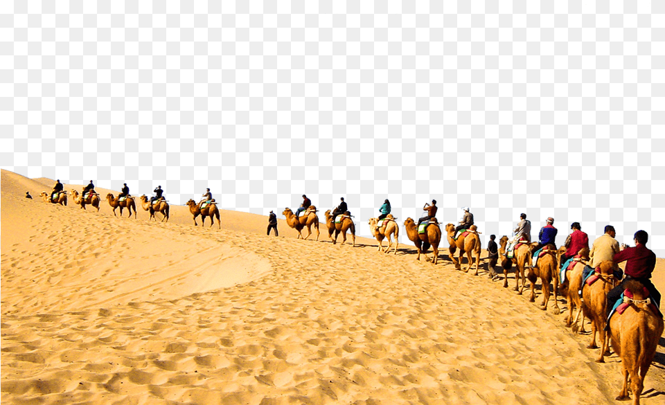 Desert Image Hd Desierto, Person, People, Outdoors, Animal Free Transparent Png