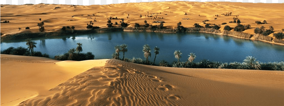 Desert Images Oasis In Thar Desert, Nature, Outdoors, Scenery, Landscape Free Png Download