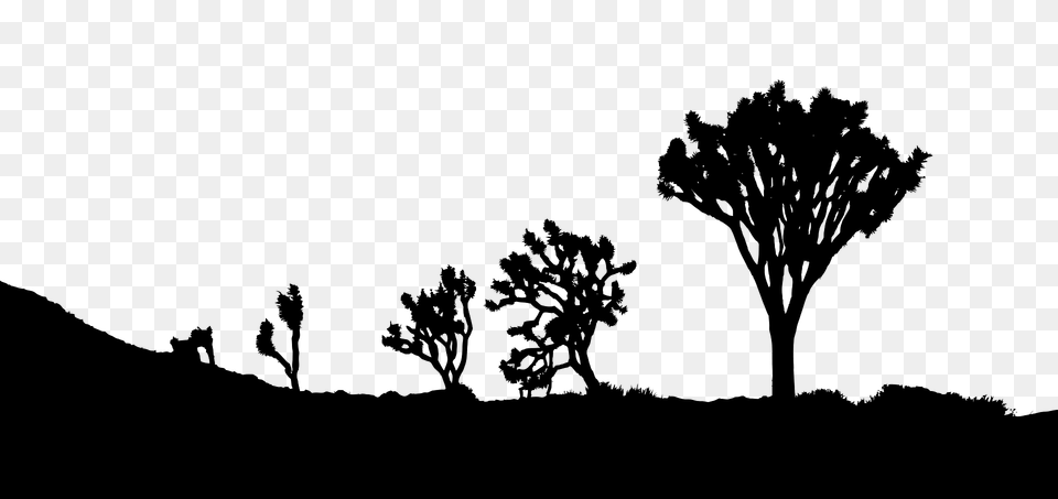 Desert Landscape Silhouette, Oak, Plant, Tree, Tree Trunk Free Transparent Png