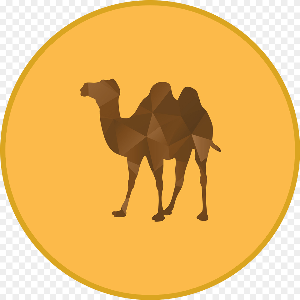 Desert Oasis Clipart Camel, Animal, Mammal, Astronomy, Moon Free Transparent Png