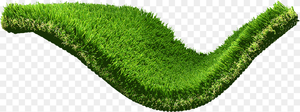 Desert Oasis Wavy Green Artificialsynthetic Grassturf Lawn, Grass, Moss, Plant, Landscape Png Image