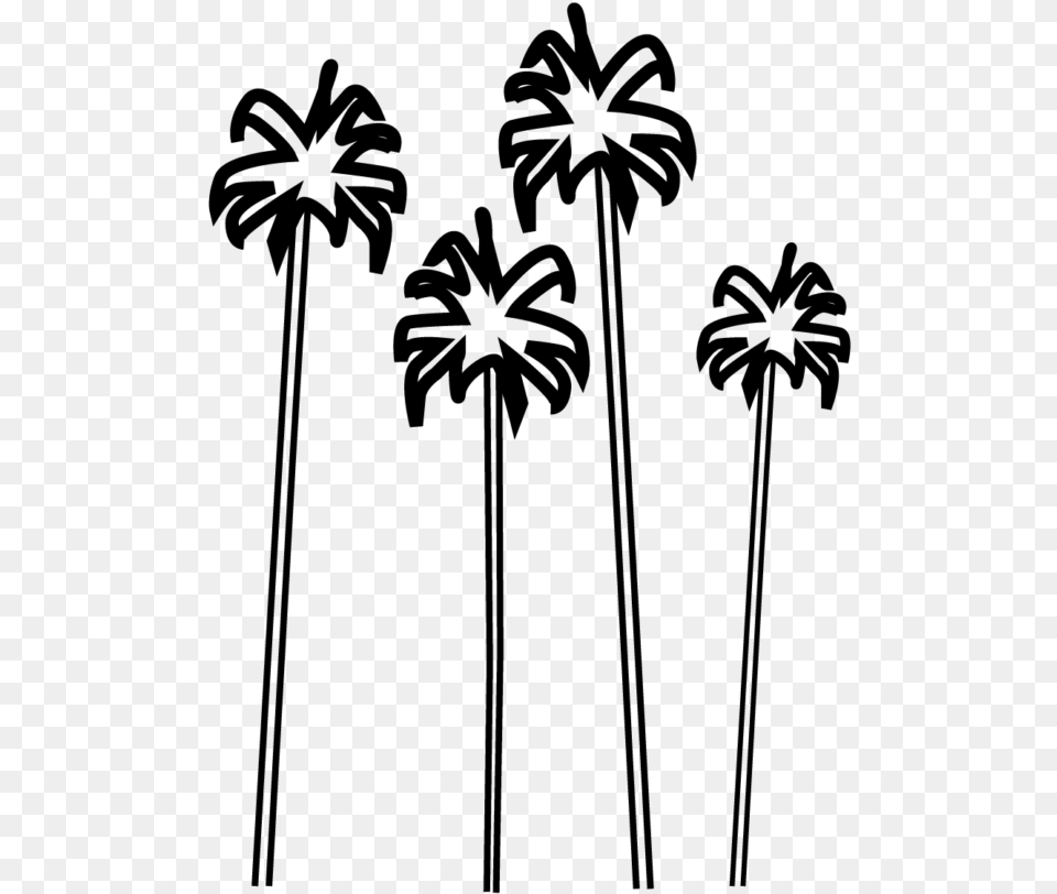 Desert Palm, Gray Png Image