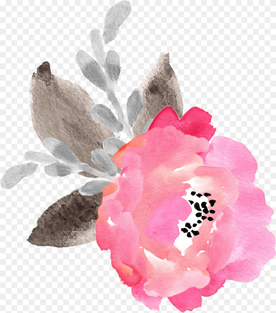 Desert Rose, Flower, Petal, Plant, Anemone Free Png