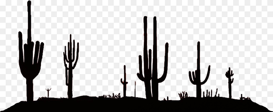 Desert Silhouette Library Download, Festival, Hanukkah Menorah, Cactus, Plant Free Transparent Png