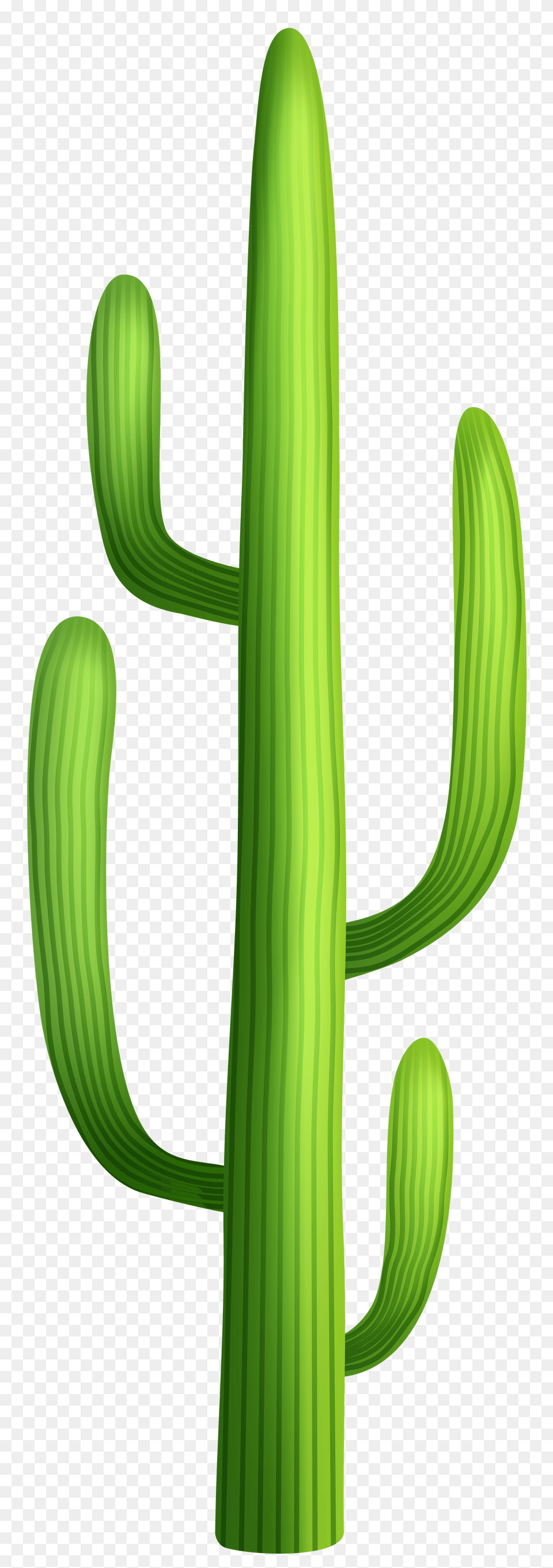 Desert Tree Cliparts, Cactus, Plant Png