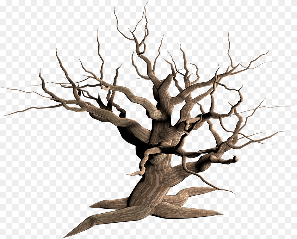 Desert Tree Transparent Background Dry Tree, Plant, Wood Png Image