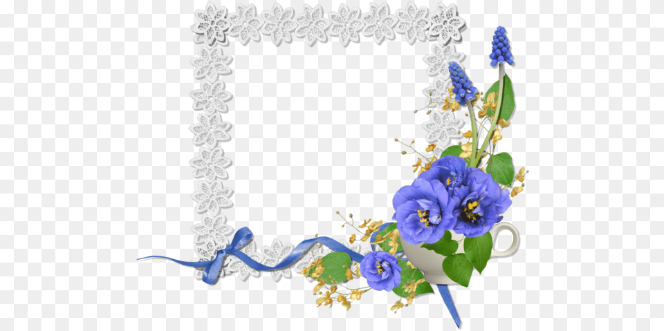 Design, Flower, Plant, Flower Arrangement, Anemone Free Png