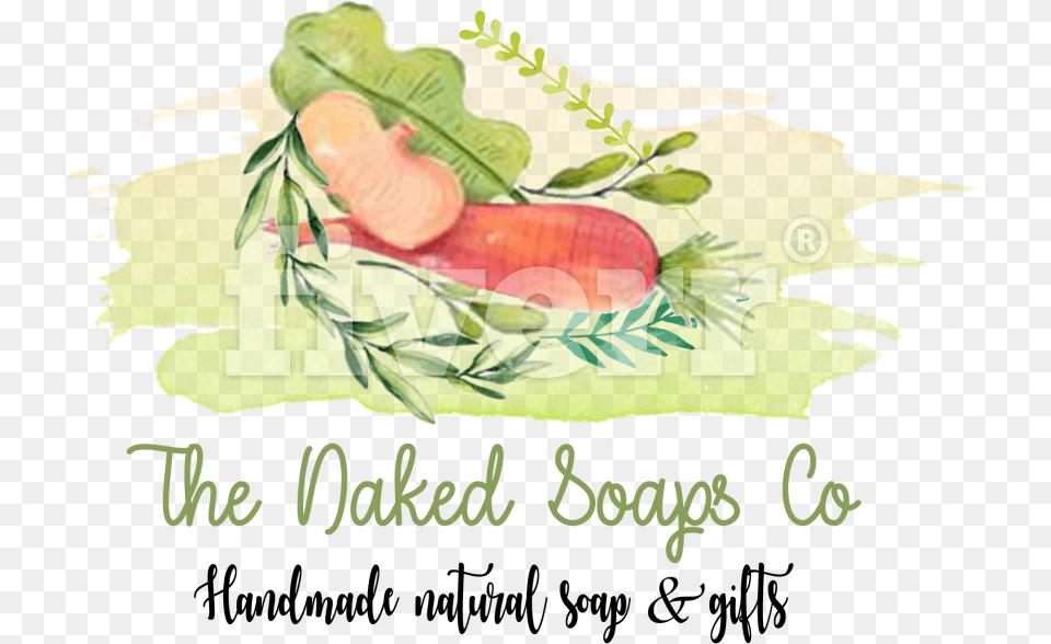 Design A Beautiful Artistic Watercolor Label And Logo Prosciutto, Herbal, Herbs, Plant, Baby Png Image