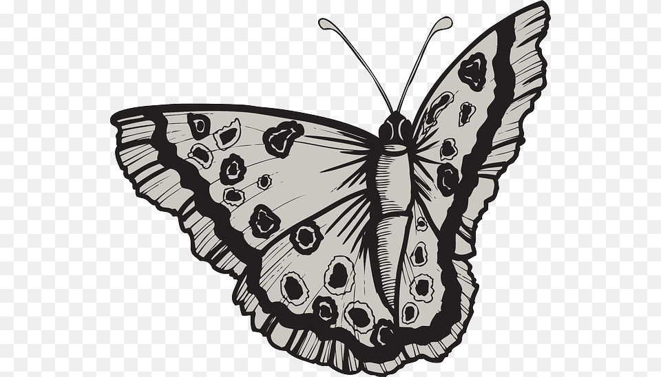 Design Butterfly Bug Wings Art Insect Moth Adesivo De Parede Haus For Fun Flores Antique 3 G, Drawing, Animal, Invertebrate, Smoke Pipe Png Image