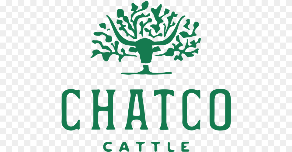 Design By Good South Chatco Cattle Logo Design Illustration, Outdoors, Plant, Vegetation Free Png Download