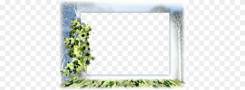 Design Colorful Frames Photoshop, Leaf, Plant, Tree, Blackboard Free Png
