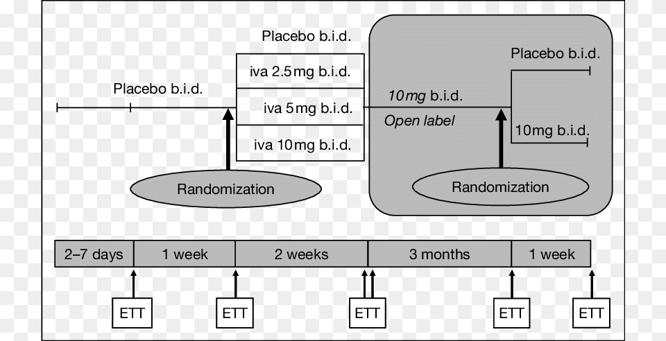 Design Features Of A Multicenter Double Blind Placebo Diagram, Uml Diagram, Scoreboard Free Png Download