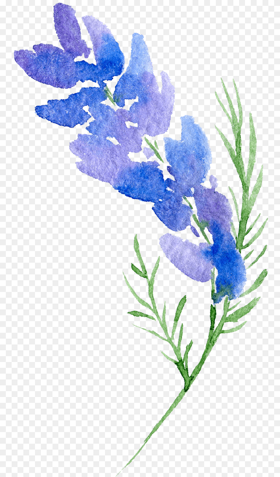 Design Flower Watercolor Painting Svg Stock Flower Design Background, Plant, Pattern, Embroidery, Lavender Free Transparent Png